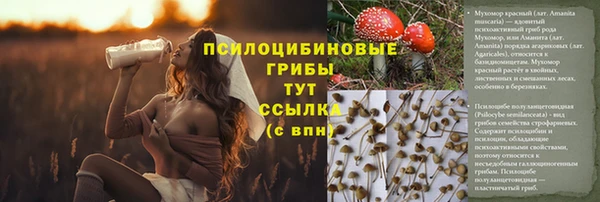 ECSTASY Кукмор