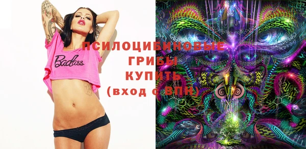 ешки Краснослободск