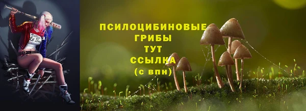 ешки Краснослободск