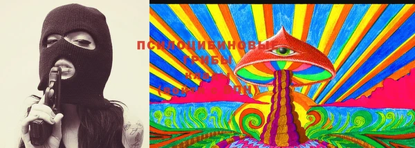 ешки Краснослободск