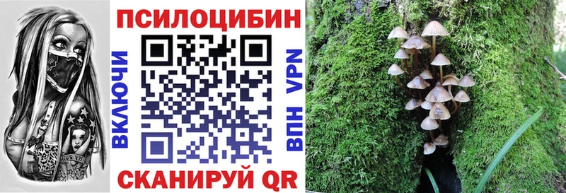 где найти   МЕГА ССЫЛКА  Псилоцибиновые грибы Psilocybine cubensis  Краснокаменск 