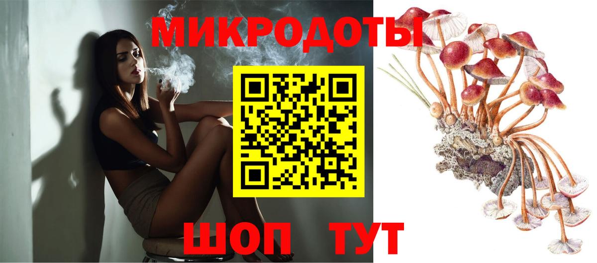 Псилоцибиновые грибы Psilocybe Краснокаменск